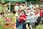 Beim ca. dreistndigen Aufenthalt bei der Rotweinprobe im Juni und dem Rotweinfest im August in  am Rhein nutzen die Gste auch die Gelegenheit, sich die Beine zu vertreten.